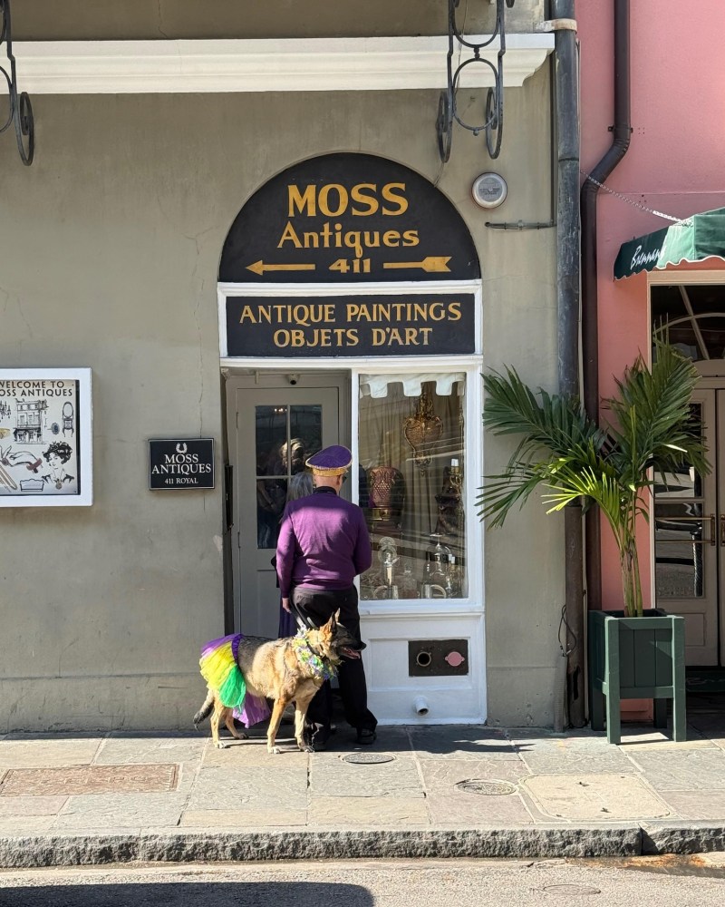 Moss Antiques shop at 411 Royal Street in New Orleans French Quarter, featuring antique paintings and collectibles.